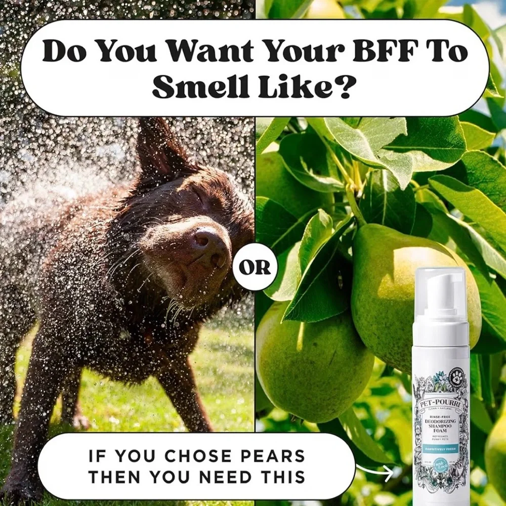 2x Pet-Pourri Rinse Free Dog Shampoo Foam Deodorizing Dry Wash For Pets 6oz Each